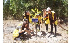 CapitaLand Việt Nam và Ascott trồng 20 cây hưởng ứng chiến dịch Giờ Trái Đất 