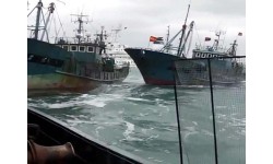 Hàn Quốc bắt giữ loạt tàu cá Trung Quốc