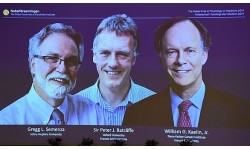 Giải Nobel Y học 2019 vinh danh nhóm 3 nhà khoa học nghiên cứu tế bào