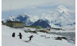Nam Cực xuất hiện ca nhiễm Covid-19: 'Thành trì' cuối cùng trên thế giới chưa bị đại dịch tấn công đã sụp đổ