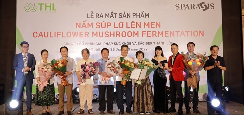 THL độc quyền phân phối Nấm súp lơ lên men cauliflower mushroom tại Việt Nam 