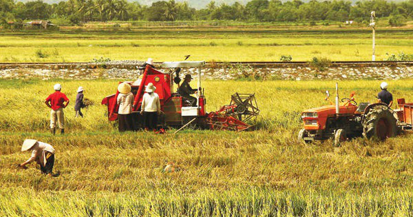  Tại sao Việt Nam không hấp dẫn nhà đầu tư ngoại rót vốn vào nông nghiệp?
